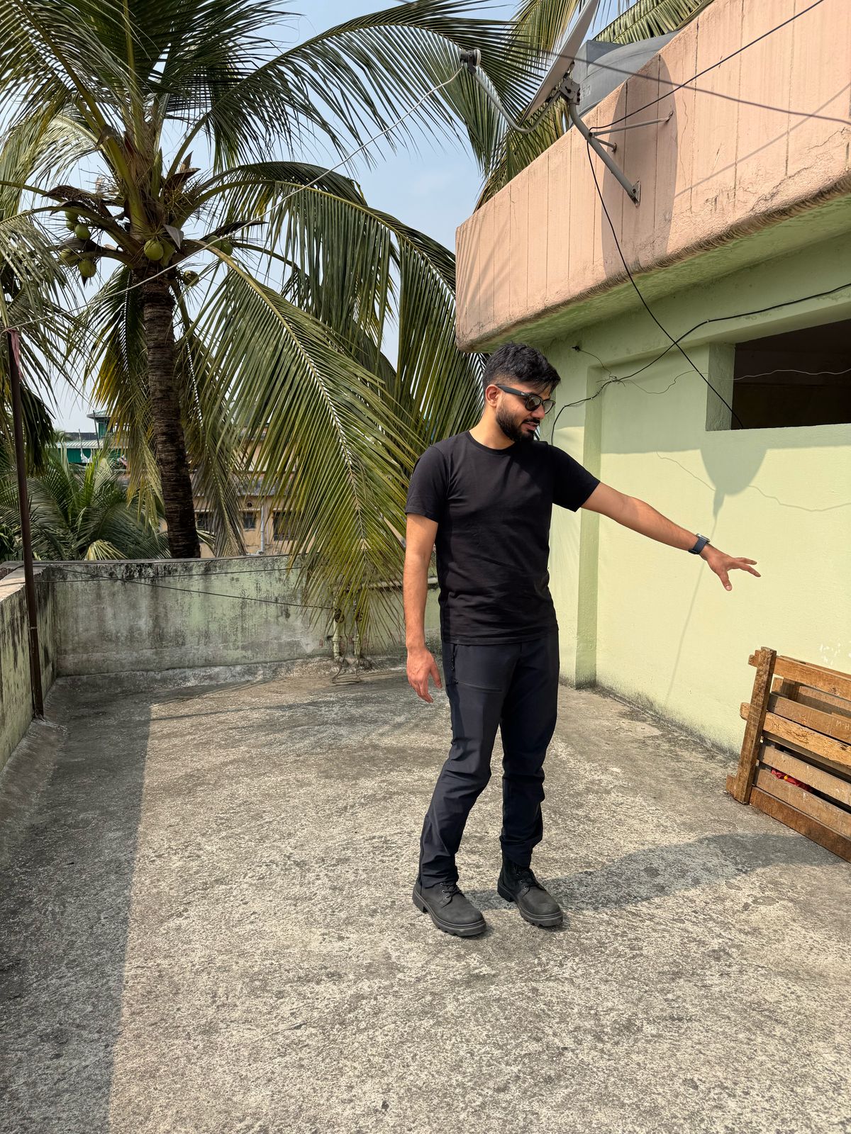 On the rooftop next to the coconut palm